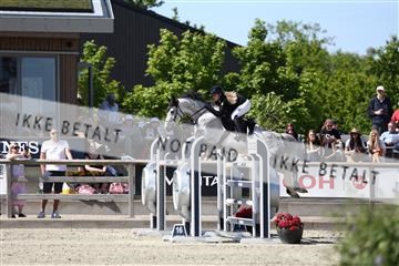 181436_avh_03_4772.JPG