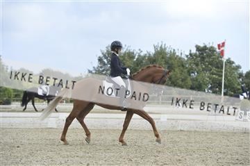 169624_kbb_01__KBB8490.JPG