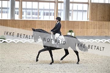 182176_kbb_01_Z093146.JPG