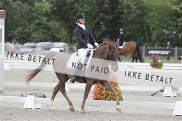 166078_rhj_01__J7R3414.JPG