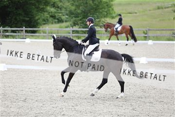 172030_mtp_01_3M5A2005.JPG