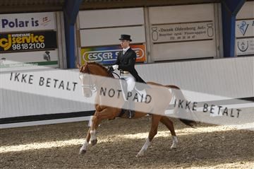 139422_bc_03__BC26054.JPG