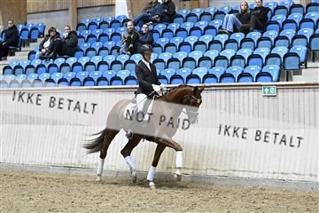 182241_kbb_01_Z093465.JPG