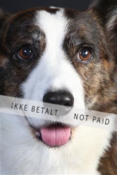 132082_le_ 01_IMG_0604.JPG