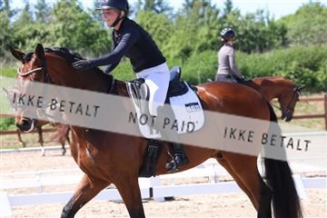 181449_bc_01R62_5584.JPG