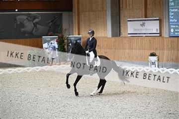 182176_kbb_01_Z094487.JPG