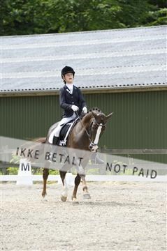 139898_ms_01__MS27770.JPG