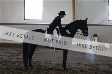 139267_kl_1_8M1Q6638.JPG