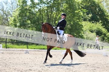 168732_mtp_01_3M5A6850.JPG