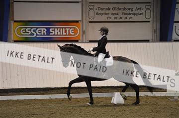 140040_abo_01__AB17778.JPG