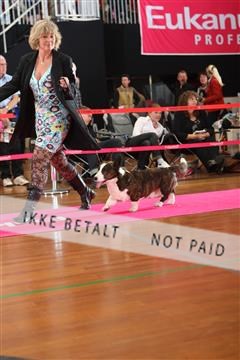6068_ma_05_IMG_5614.JPG