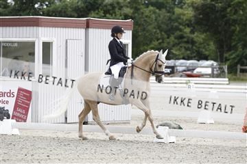 166078_rhj_01__J7R2767.JPG