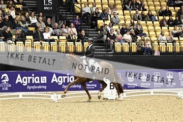182194_kbb_03_Z090938.JPG