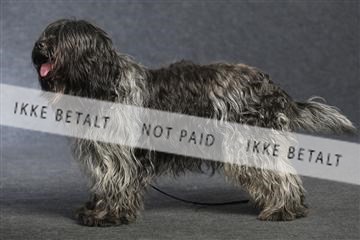 132082_le_ 01_IMG_0972.JPG