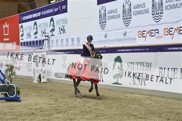166898_kbb_1__KBB6889.JPG
