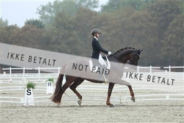 181923_mtp_03_R62_7762.JPG