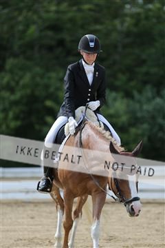 156196_nn_01_IMG_6265.JPG