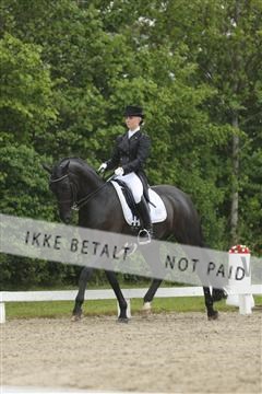 139835_sg_02_IMG_8777.JPG