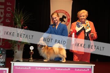 126827_tl_02_IMG_2761.JPG