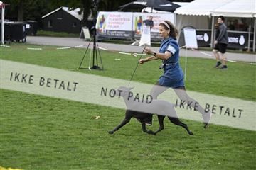 182009_jbr_01__Z093785.JPG