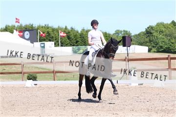 181449_bc_01R62_5733.JPG