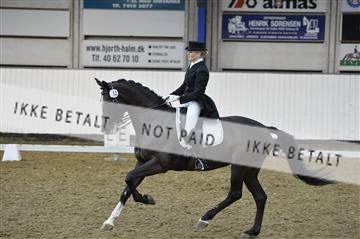 140040_abo_02__AB19662.JPG