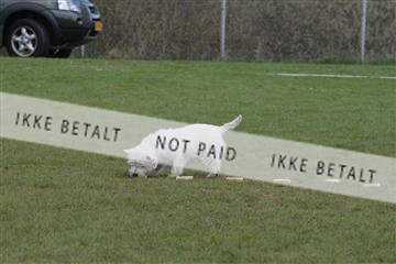 124188 _tl_02_IMG_9436.JPG