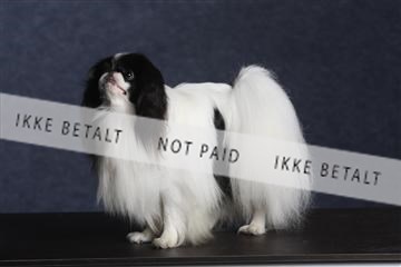 132082_le_ 01_IMG_0690.JPG