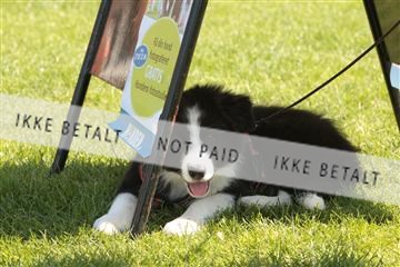 130370_le_01_IMG_7940.JPG