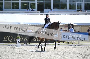 177248_mtp_04_Z09_5021.JPG