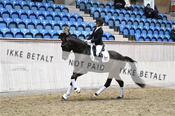 182241_kbb_01_Z093871.JPG