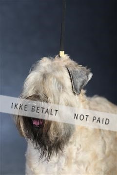 132082_le_ 01_IMG_1028.JPG