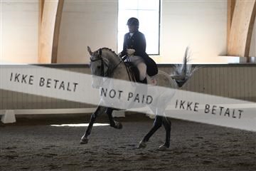 139267_kl_1_8M1Q6990.JPG