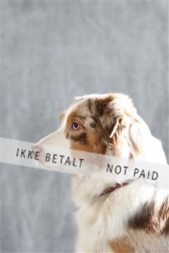 128239_le_kort_ 02_0003.JPG