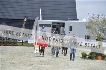 139644_abo_09__AB10574.JPG