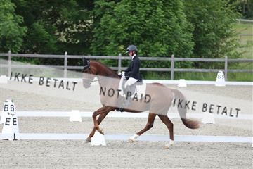 172030_mtp_01_3M5A1539.JPG