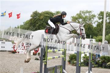 152762_nn _05_IMG_7702.JPG