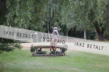 169215_mlm_01_IMG_6001.JPG