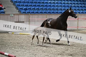 181754_kbb_01_Z093605.JPG