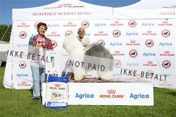 181564_kar_01__62_8171.JPG