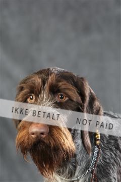 128239_le_ 06_0029.JPG