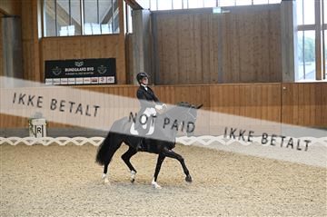 182176_kbb_01_Z093763.JPG