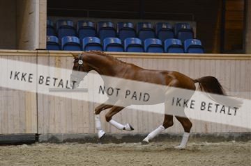 139327_abo_01__AB10205.JPG