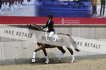 182241_kbb_01_Z092946.JPG