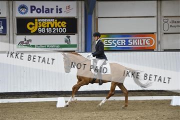 140040_abo_02__AB18813.JPG