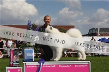 130370_se_03_IMG_7688.JPG