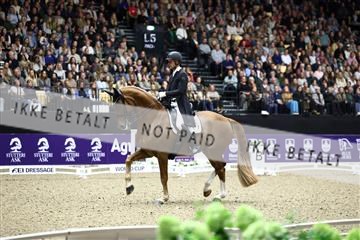 182194_avh_07_4062.JPG