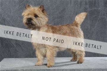 130054_le_ 03_0077.JPG