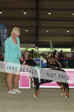 135379_tl_02_IMG_9518.JPG