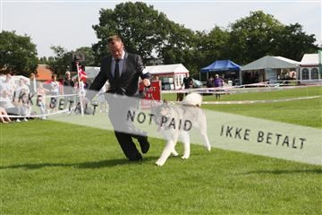 130370_se_02_IMG_6636.JPG